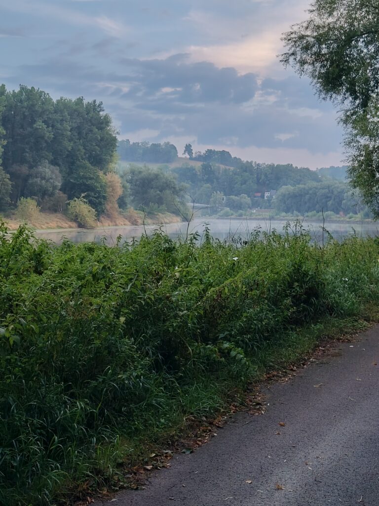 Nebelschwaden an der Donau frühmorgens