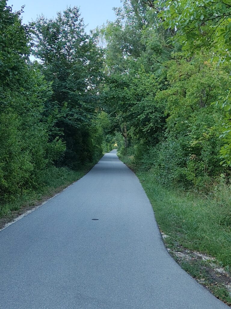 Ein schattiger Weg an der Donau