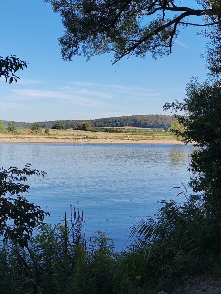 Blick auf die Donau an einem sonnigen Tag mit Wald im Hintergrund am anderen Ufer der Donau